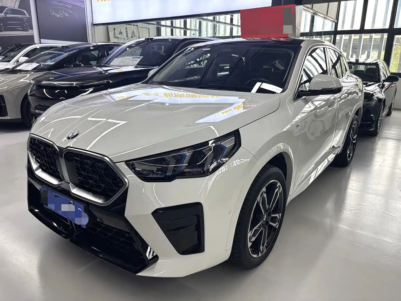 BMW X2 (Import) 2024 2025 sDrive25i M Sport Package