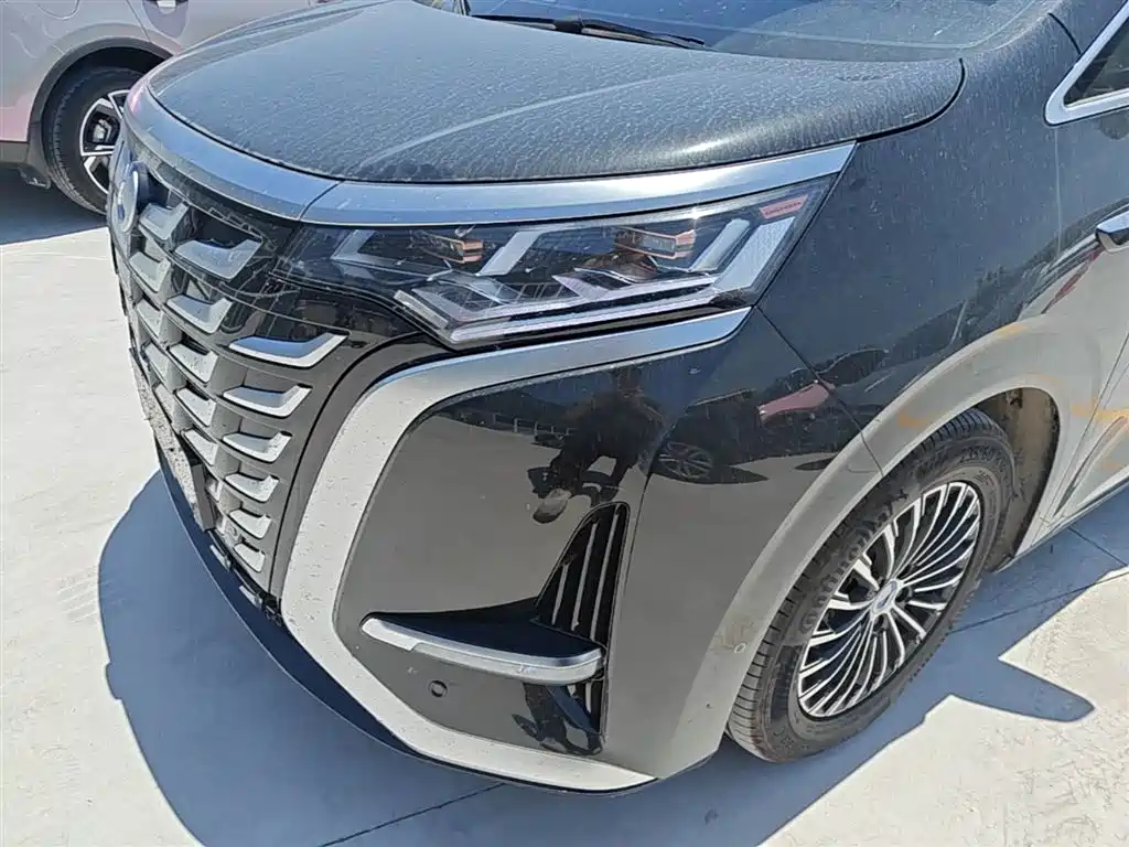 Denza D9 2025 DM-i Smart Driving Edition 1020 AWD Flagship фото 24
