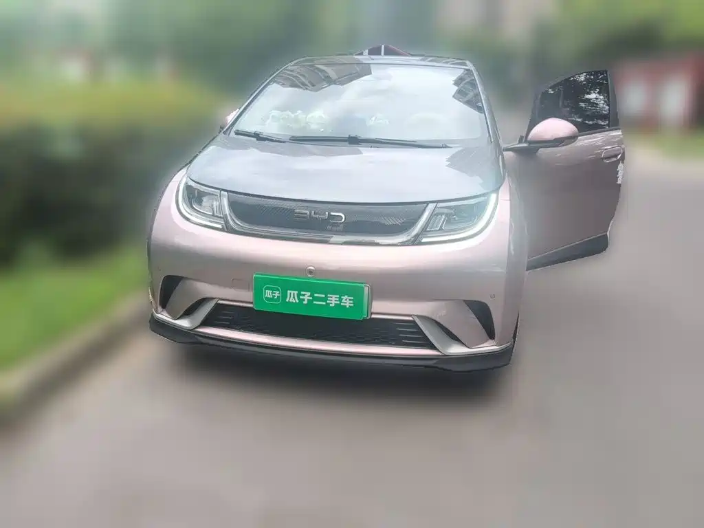 Photo 2 - BYD Dolphin