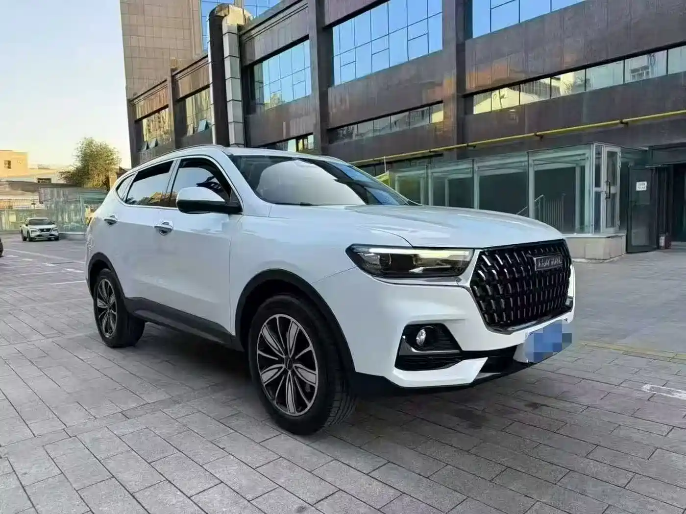 Haval H6 2023 National Trend Edition 1.5T Automatic Champion