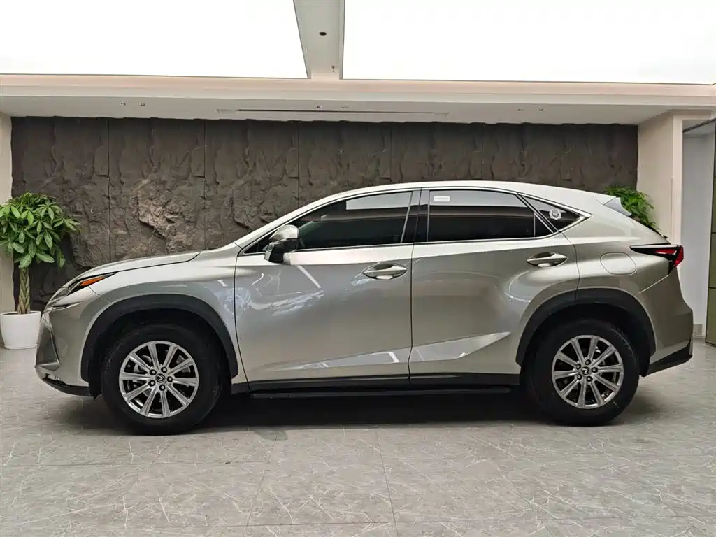 Lexus NX 2018 Model 200 FWD Fengxing Edition China V фото 3