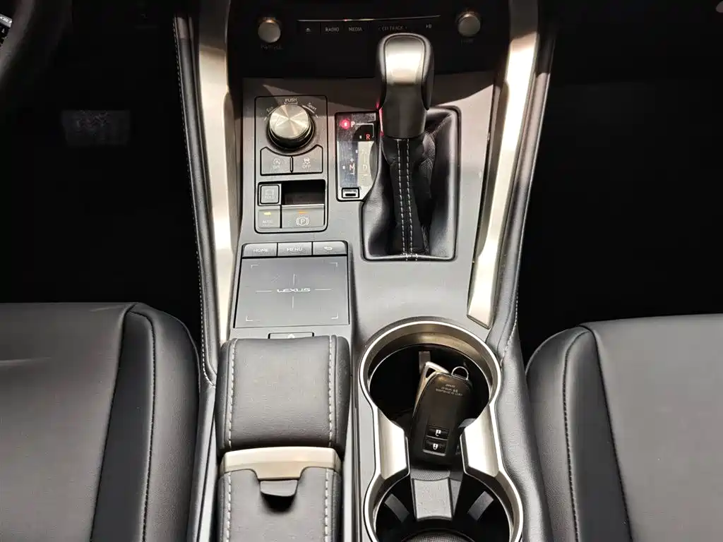 Lexus NX 2018 Model 200 FWD Fengxing Edition China V фото 16