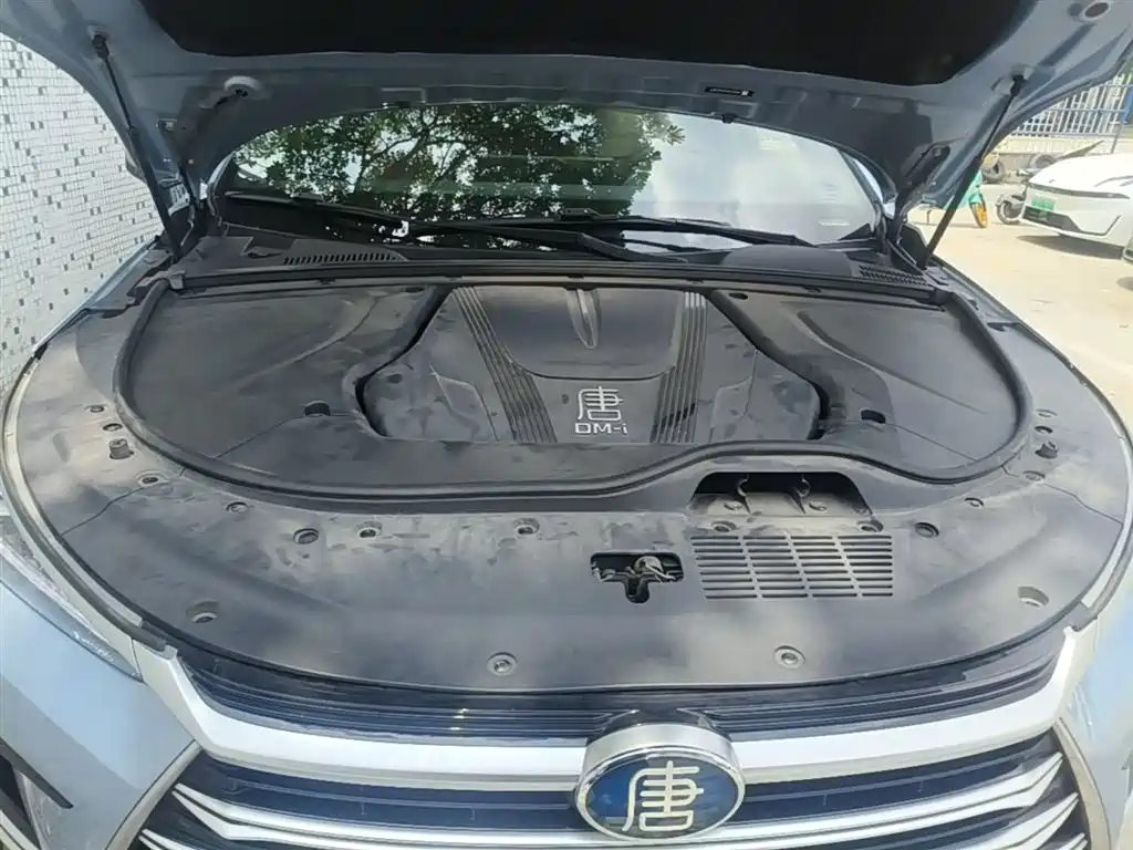 BYD Tang New Energy 2023 Model DM-i Champion Edition 112KM Honor фото 20