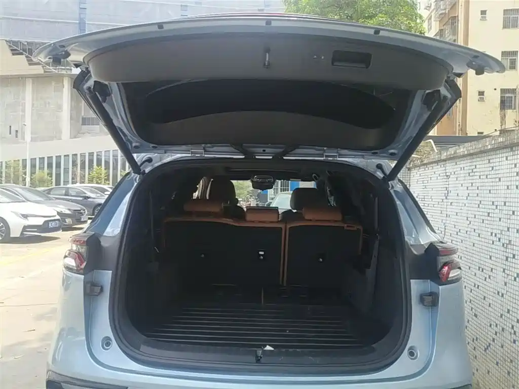 BYD Tang New Energy 2023 Model DM-i Champion Edition 112KM Honor фото 19