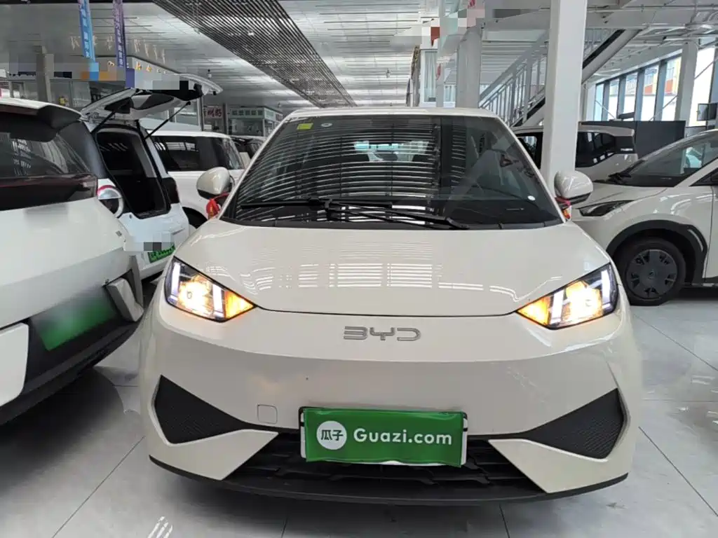 BYD Seagull 2026 2025 Smart Drive Edition 305km Vitality Version