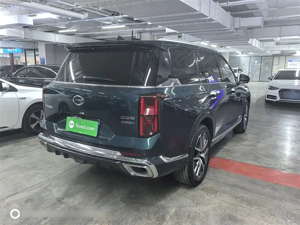 GAC Trumpchi Trumpchi GS8 2022 Dual Engine Series 2.0TM 2WD Premium Edition (6-Seater) фото 8
