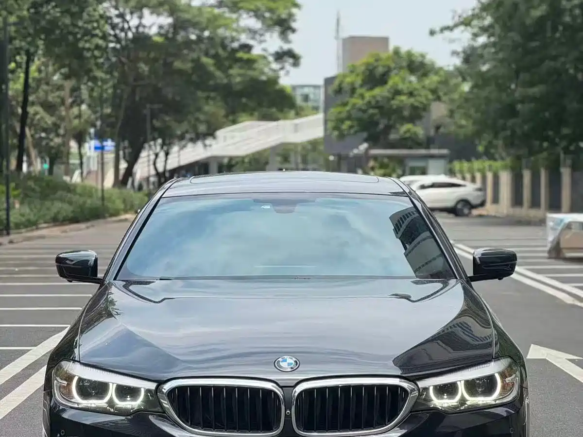 BMW 5 Series 2018 530Li Leading M Sport Package фото 2
