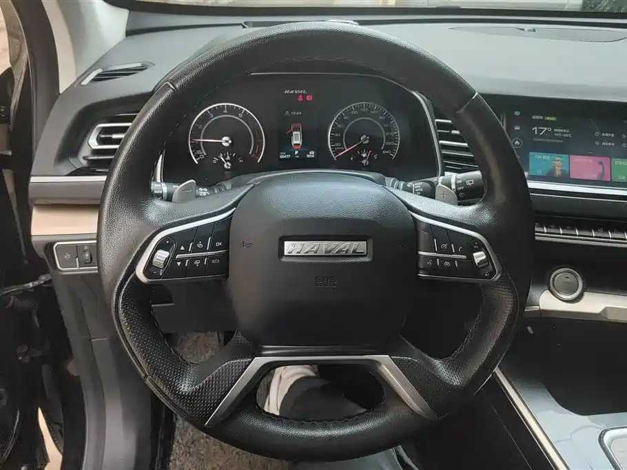 Haval H6 2020 1.5GDIT Automatic Platinum Champion Edition фото 15