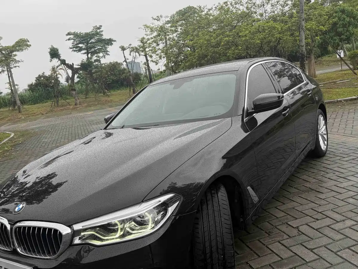 BMW 5 Series 2020 530Li Premium Luxury Package фото 24