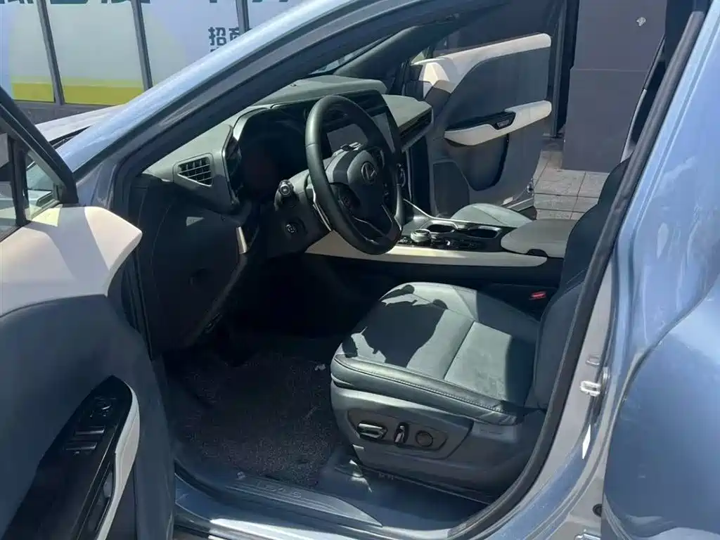 Lexus RZ 2023 450e 4WD Deluxe фото 14