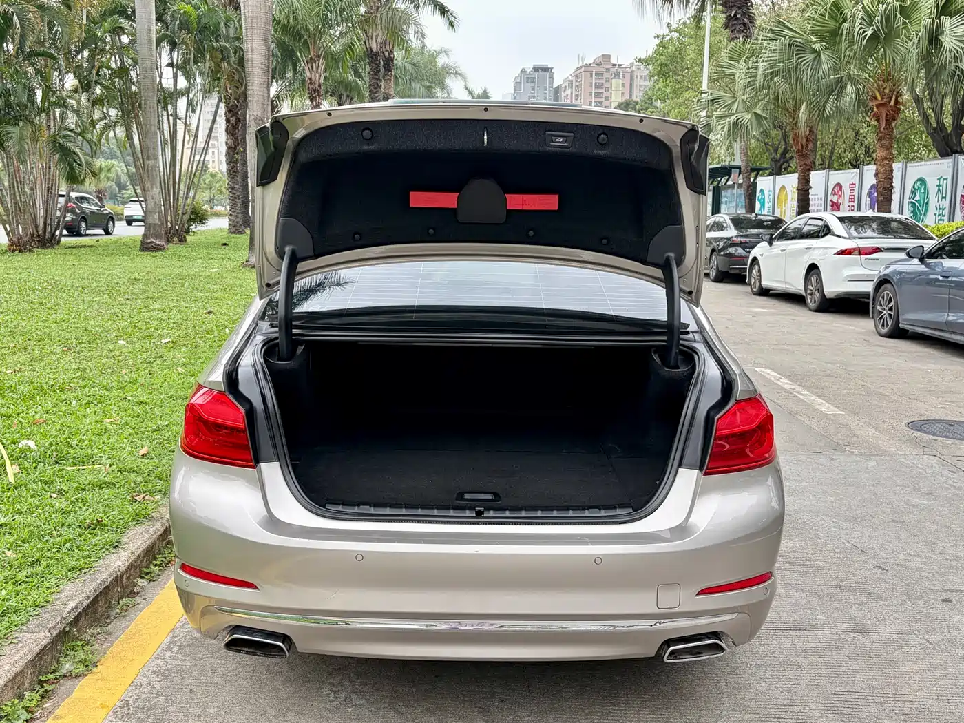 BMW 5 Series New Energy 2019 530Le Luxury Package фото 27