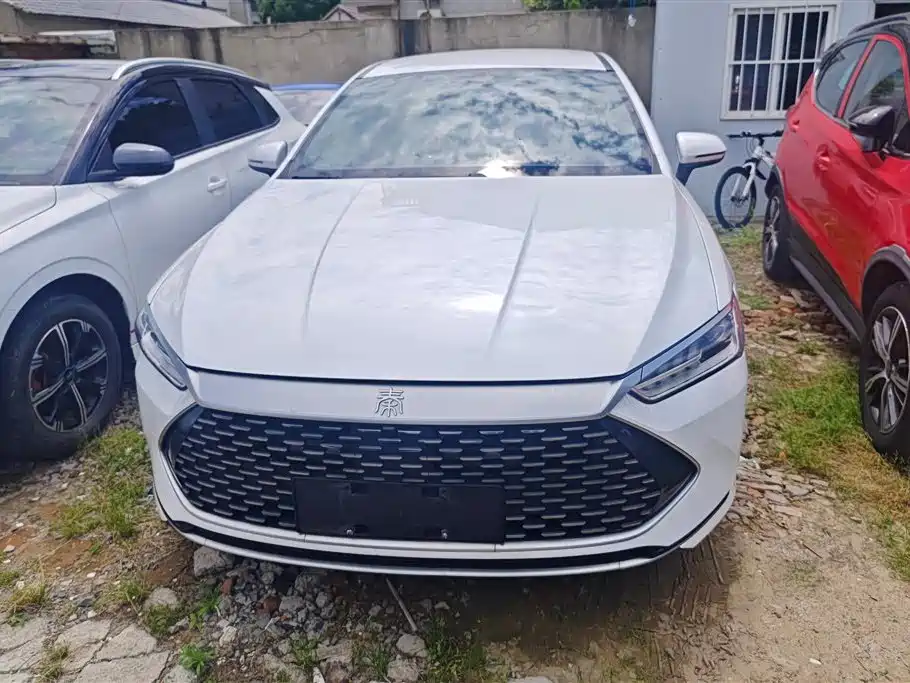 BYD Qin PLUS 2024 Glory Edition DM-i 55KM Leading фото 2