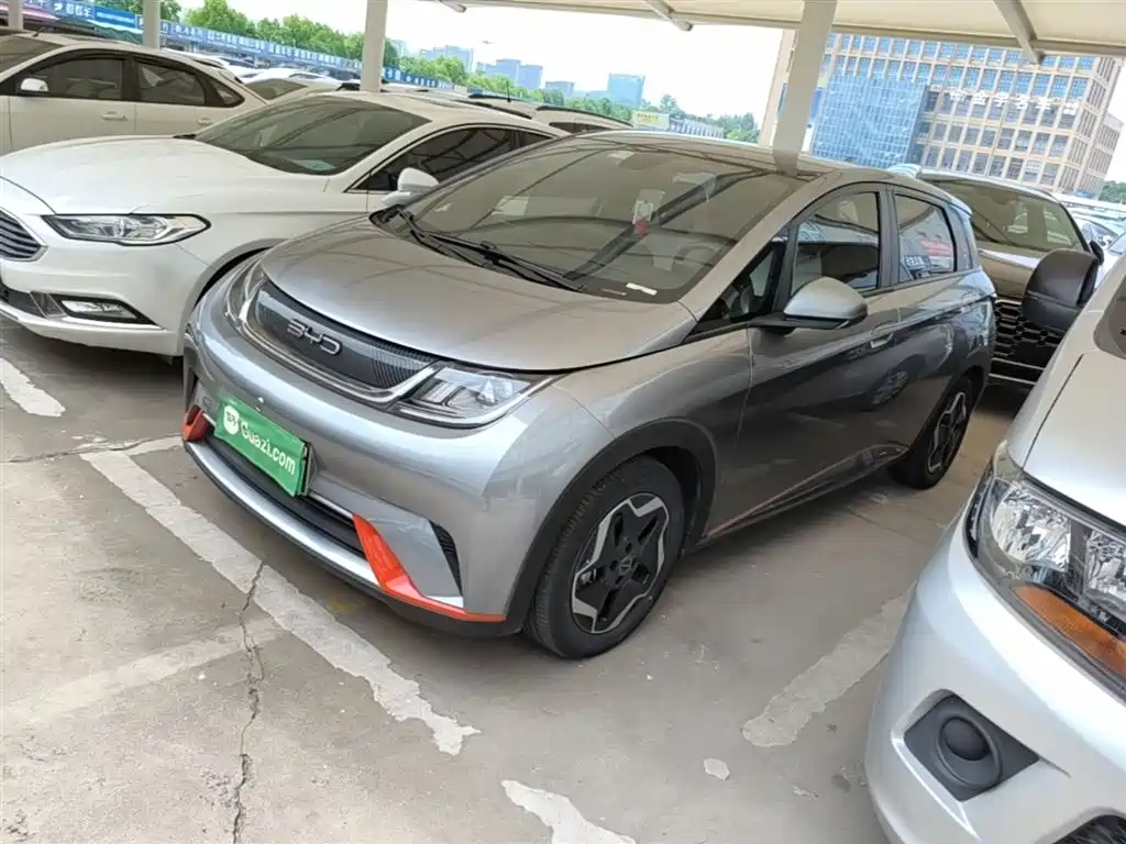 BYD Dolphin 2021 Model 405km Fashion Edition