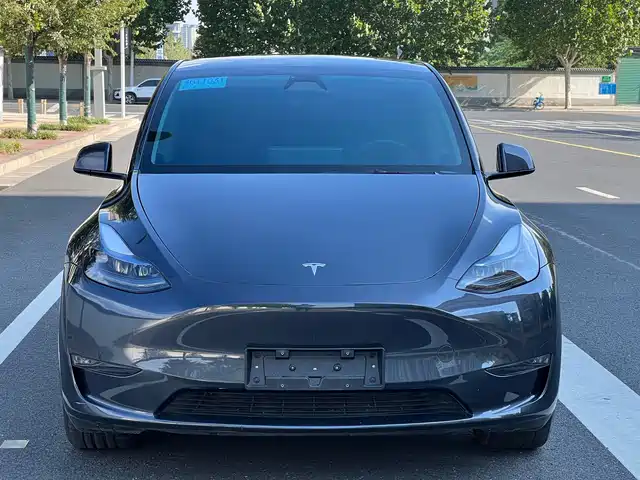 Tesla Model Y 2021 Standard Range Rear-Wheel Drive