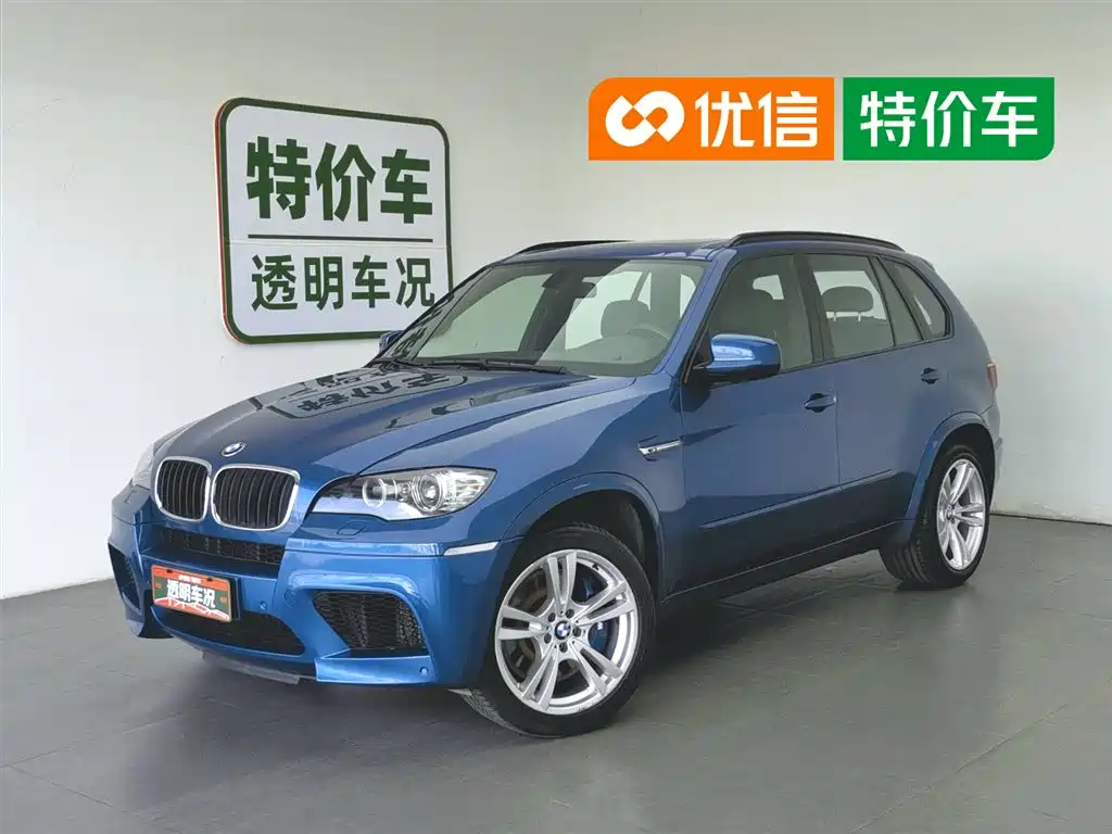 BMW X5 M 2010 X5 M