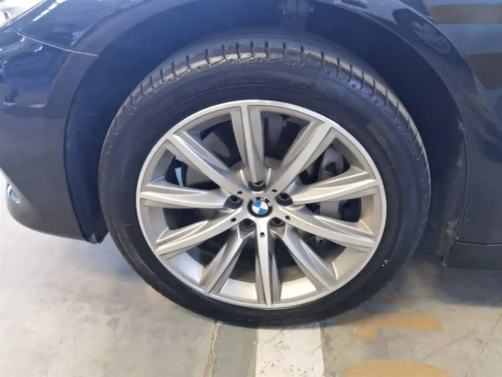 BMW 5 Series 2018 528Li Launch Special Edition фото 23