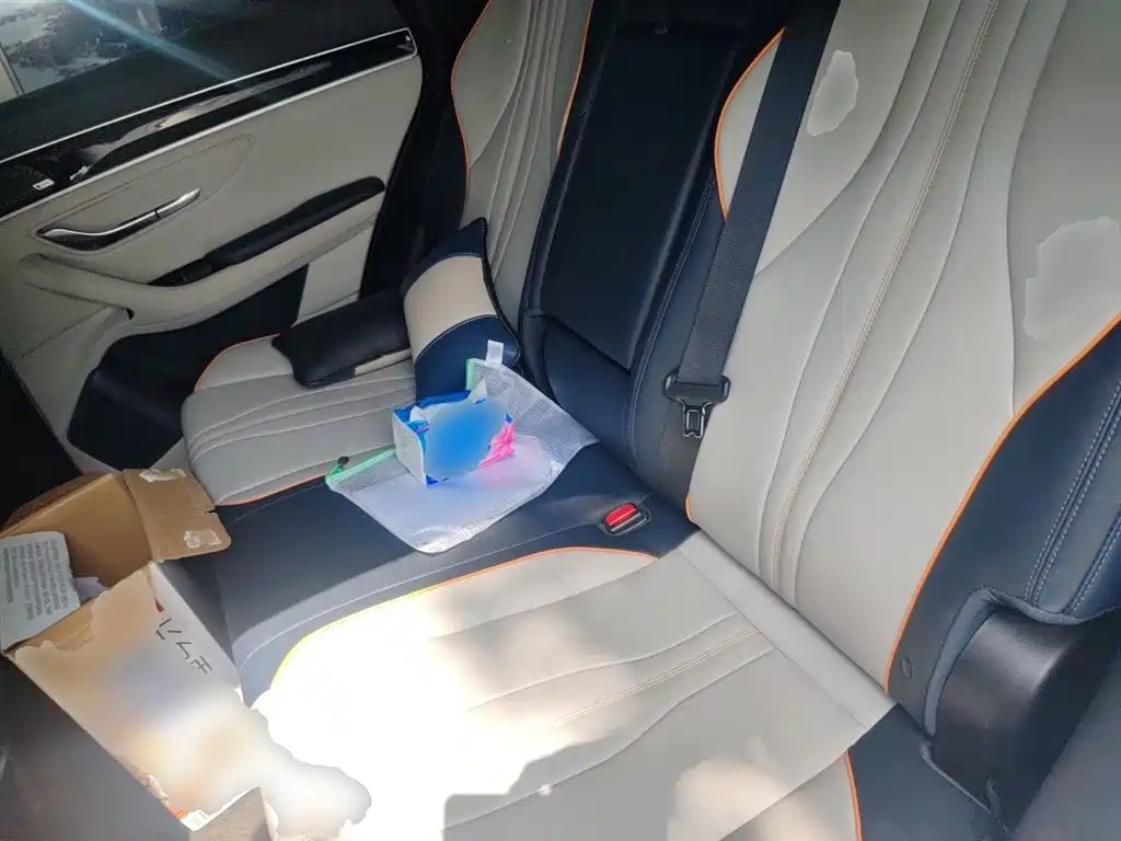 BYD Song PLUS PHEV 2021 DM-i 110KM Flagship фото 14