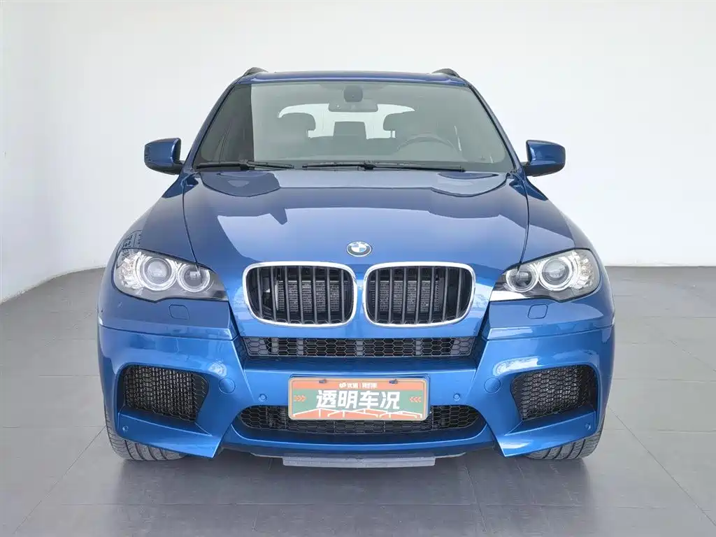 BMW X5 M 2010 X5 M фото 3