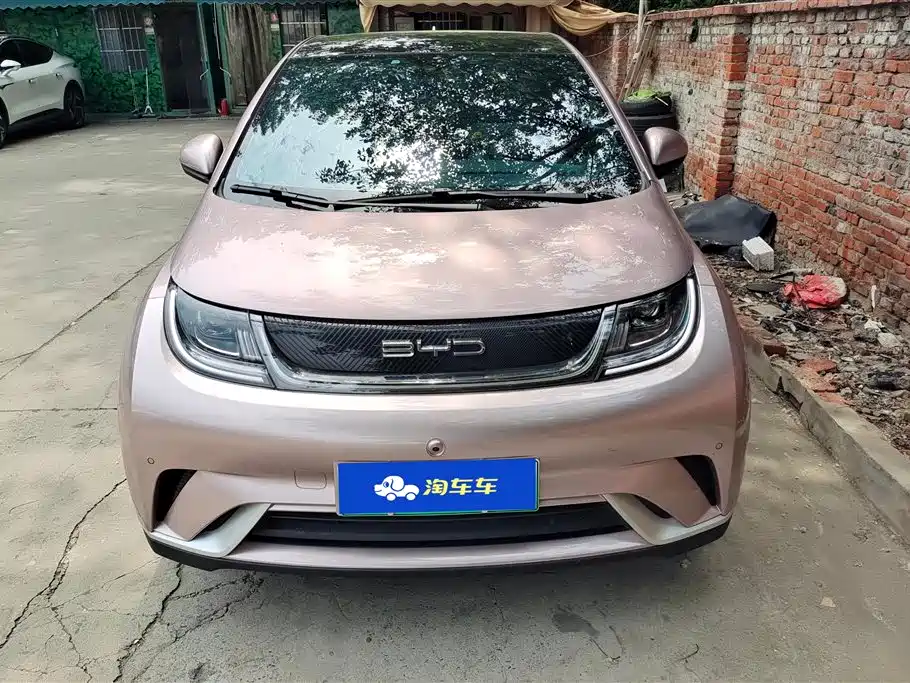 BYD Dolphin 2023 420km Fashion Edition фото 2