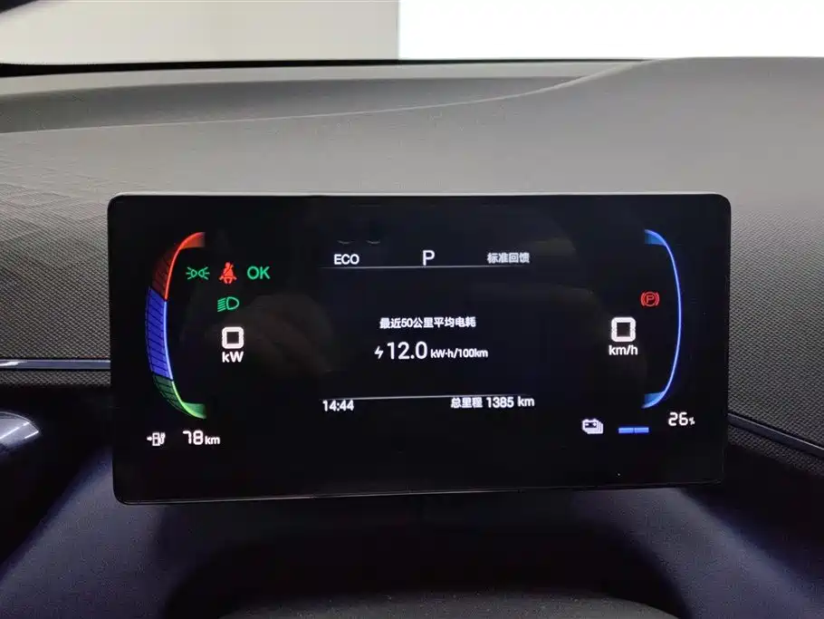 BYD Seagull 2025 Smart Drive Edition 305km Vitality Version фото 14
