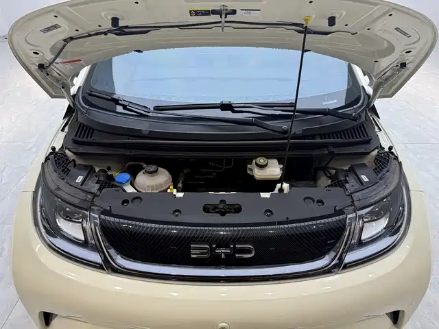 BYD Dolphin 2024 Glory Edition 420km Fashion Edition фото 8