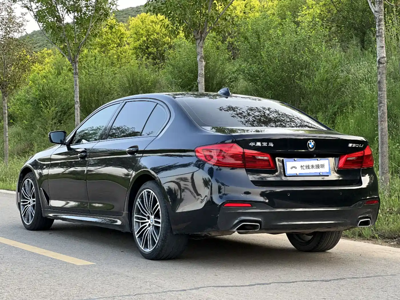 BMW 5 Series 2019 530Li Leading M Sport Package фото 14