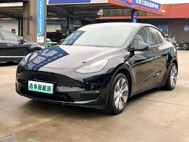 Tesla Model Y 2021 Standard Range Rear-Wheel Drive