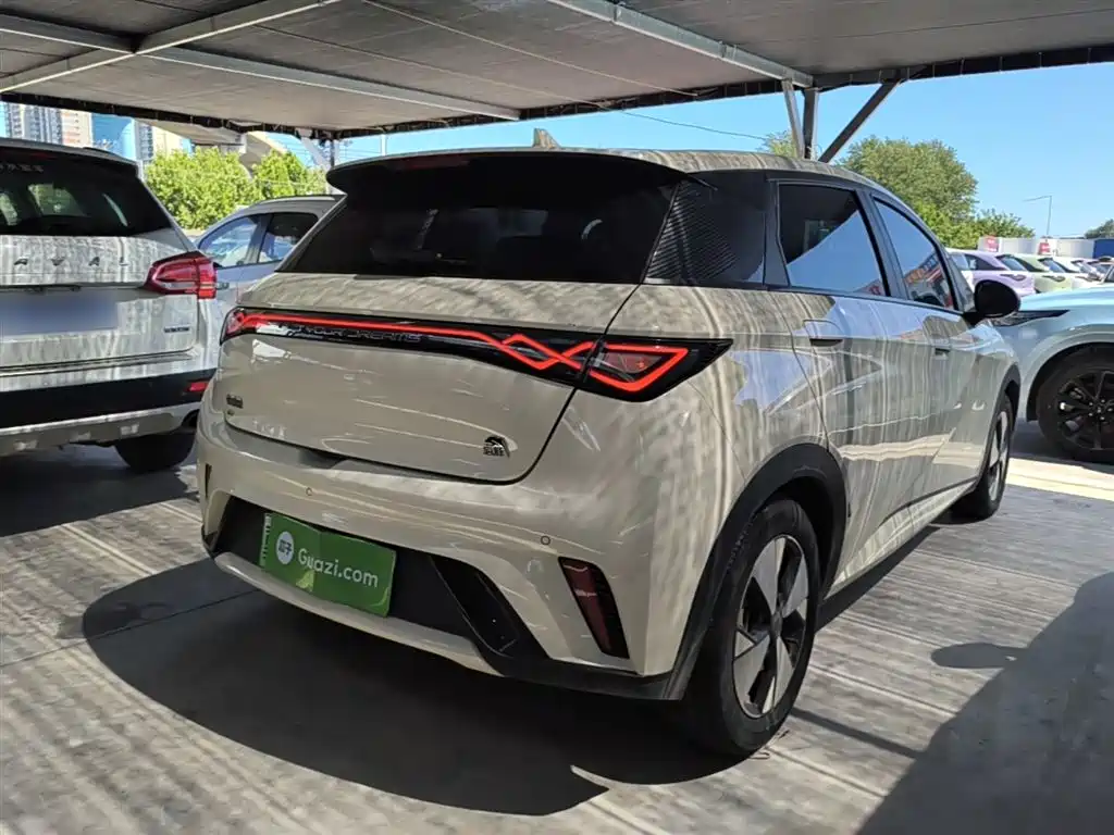 BYD Dolphin 2023 420km Fashion Edition фото 7
