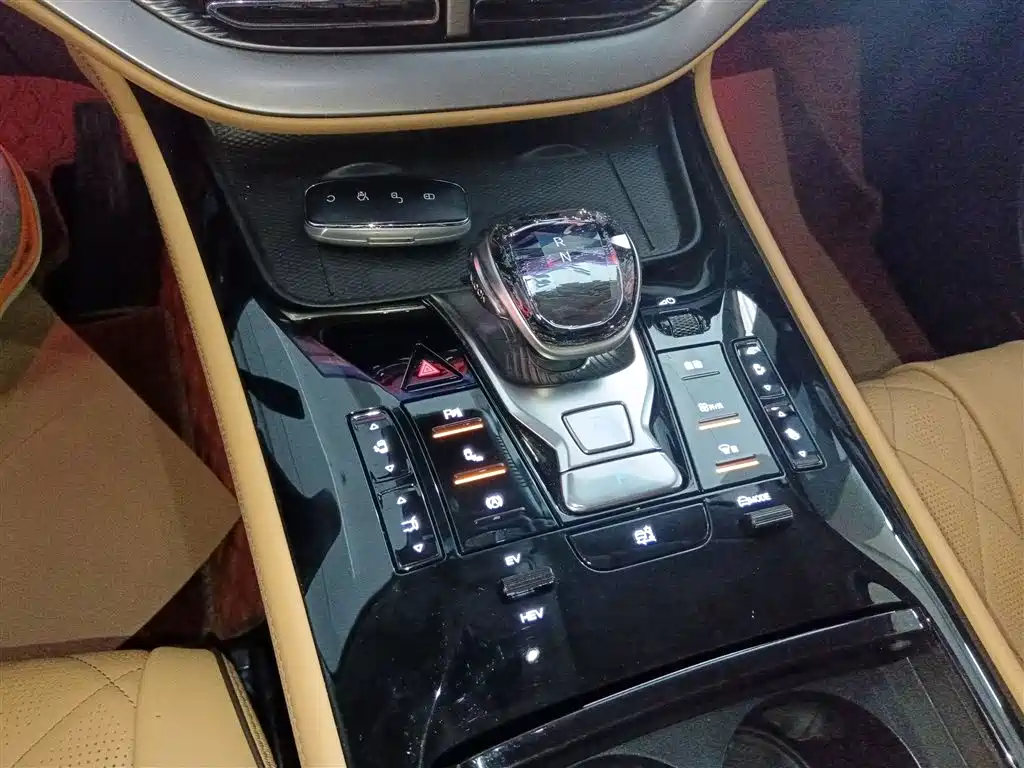 Denza D9 2024 DM-i 980 AWD Prestige фото 10
