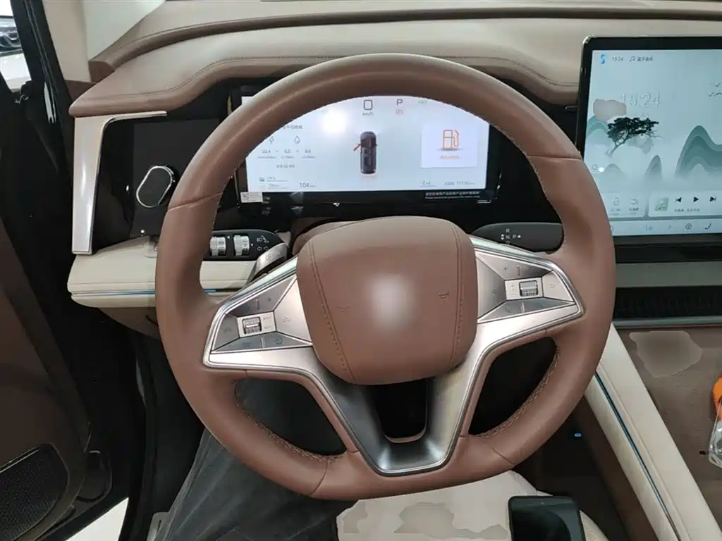 BYD Xia 2025 DM-i 1.5T 100km Surpass Edition фото 11