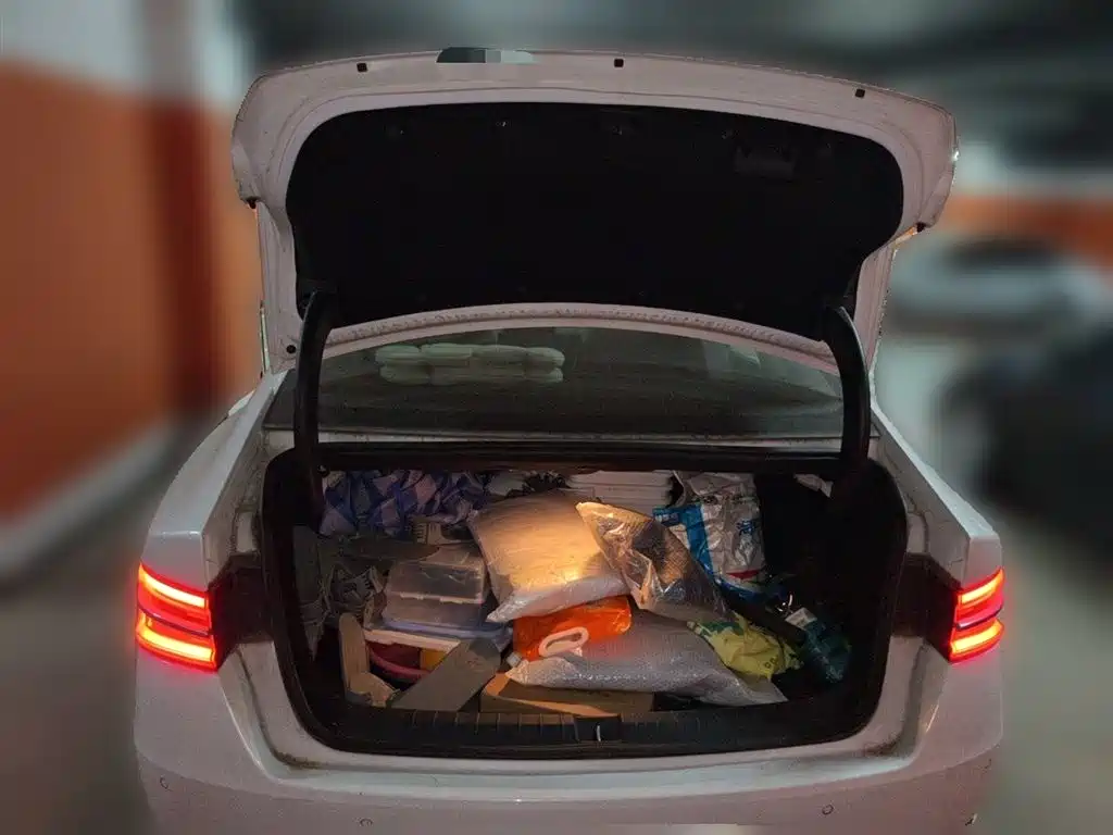 BYD Qin Pro New Energy 2019 DM Super Edition 1.5TI Automatic Smart Connected Jin Xuan Type China VI фото 16