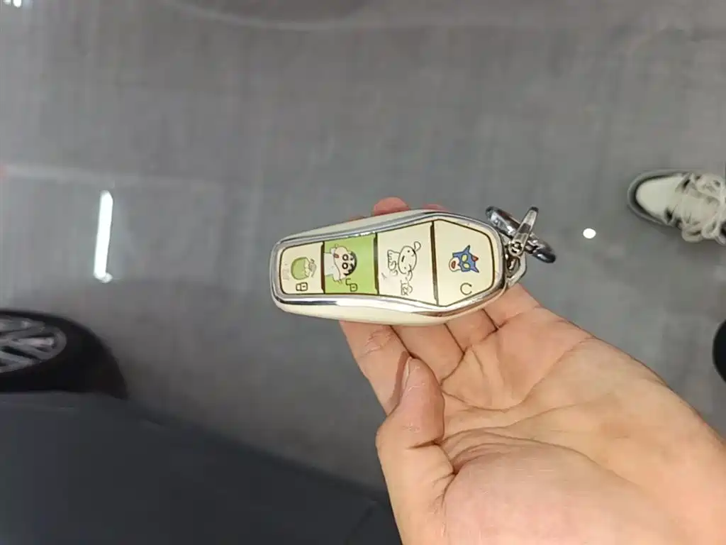 BYD Qin PLUS 2021 DM-i 120KM Flagship фото 9