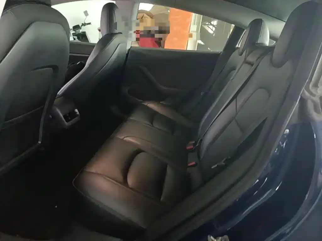 Tesla Model 3 2020 2020 Standard Range Rear-Wheel Drive Upgrade