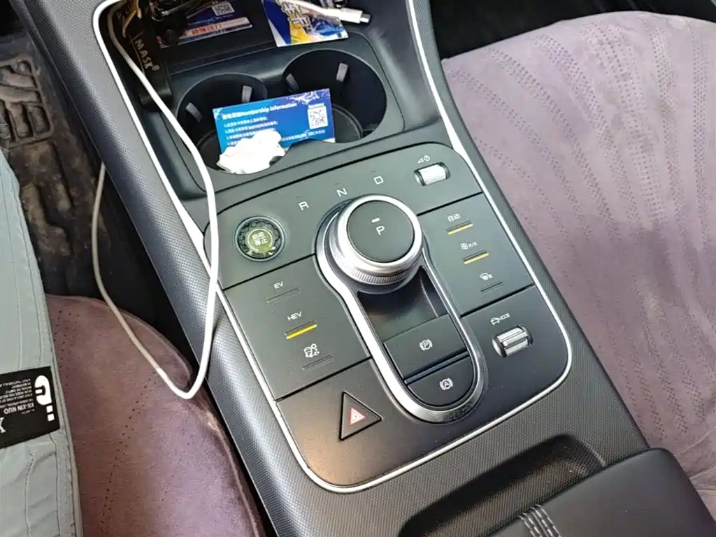 BYD Destroyer 05 2024 Glory Edition DM-i 55KM Luxury фото 14