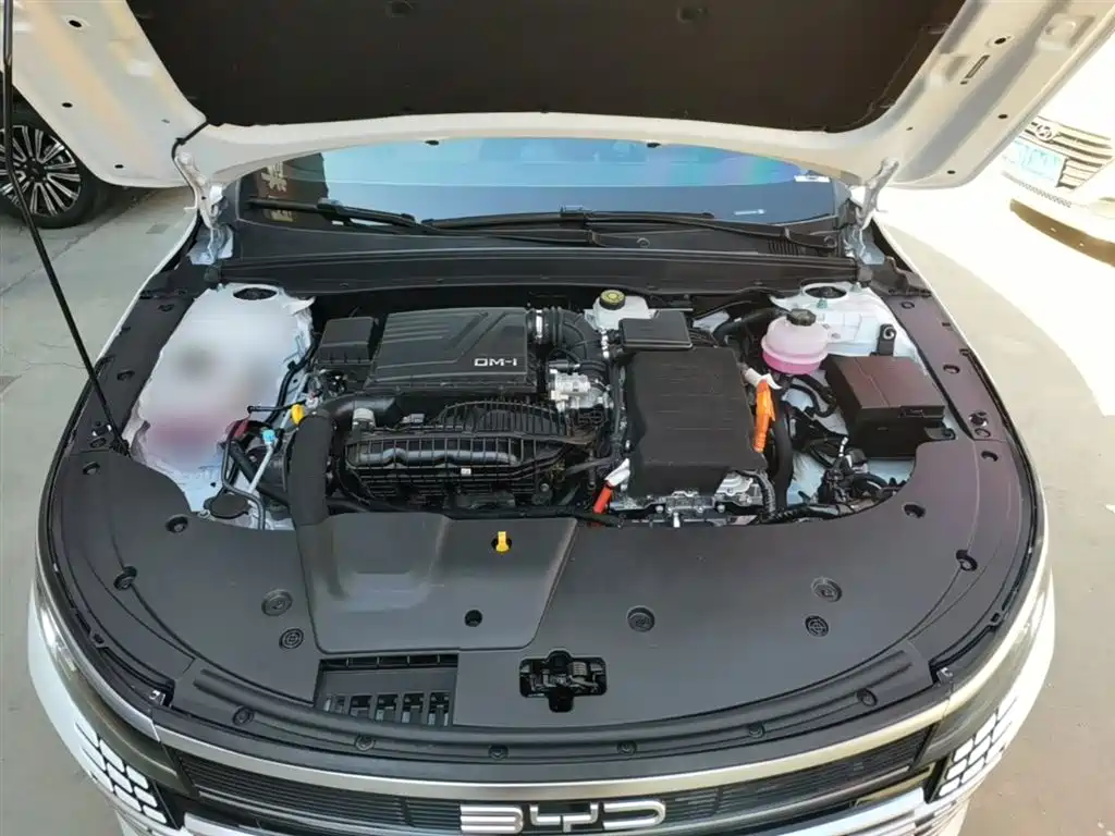 BYD Destroyer 05 2024 Glory Edition DM-i 55KM Luxury фото 20