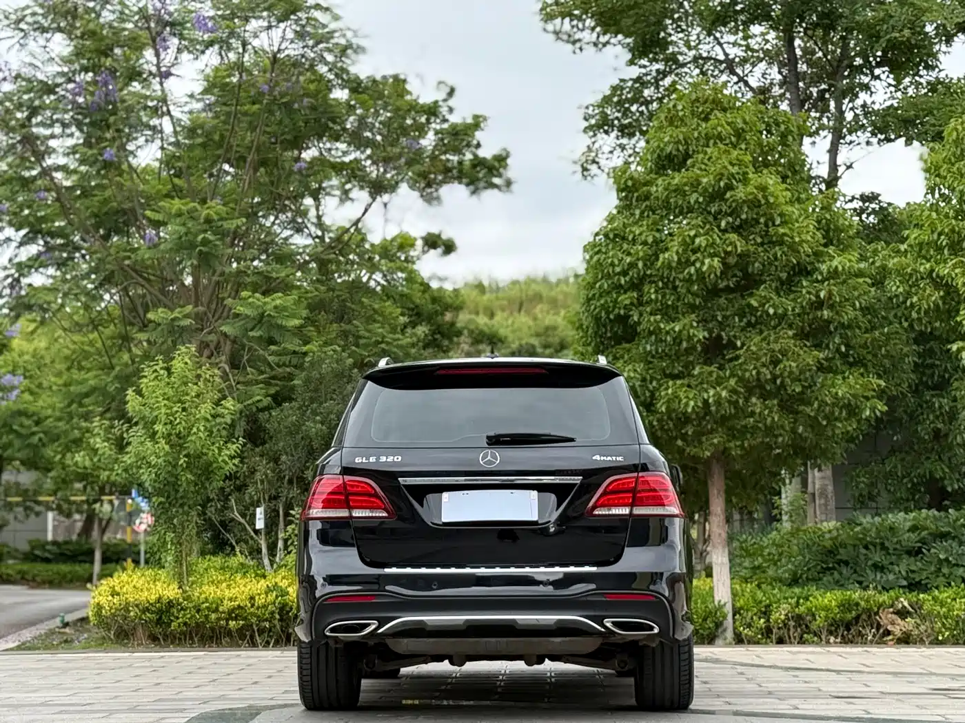 Mercedes-Benz GLE 2017 GLE 320 4MATIC Luxury фото 8