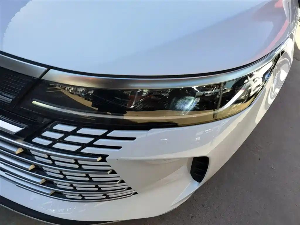 BYD Destroyer 05 2024 Glory Edition DM-i 55KM Luxury фото 24
