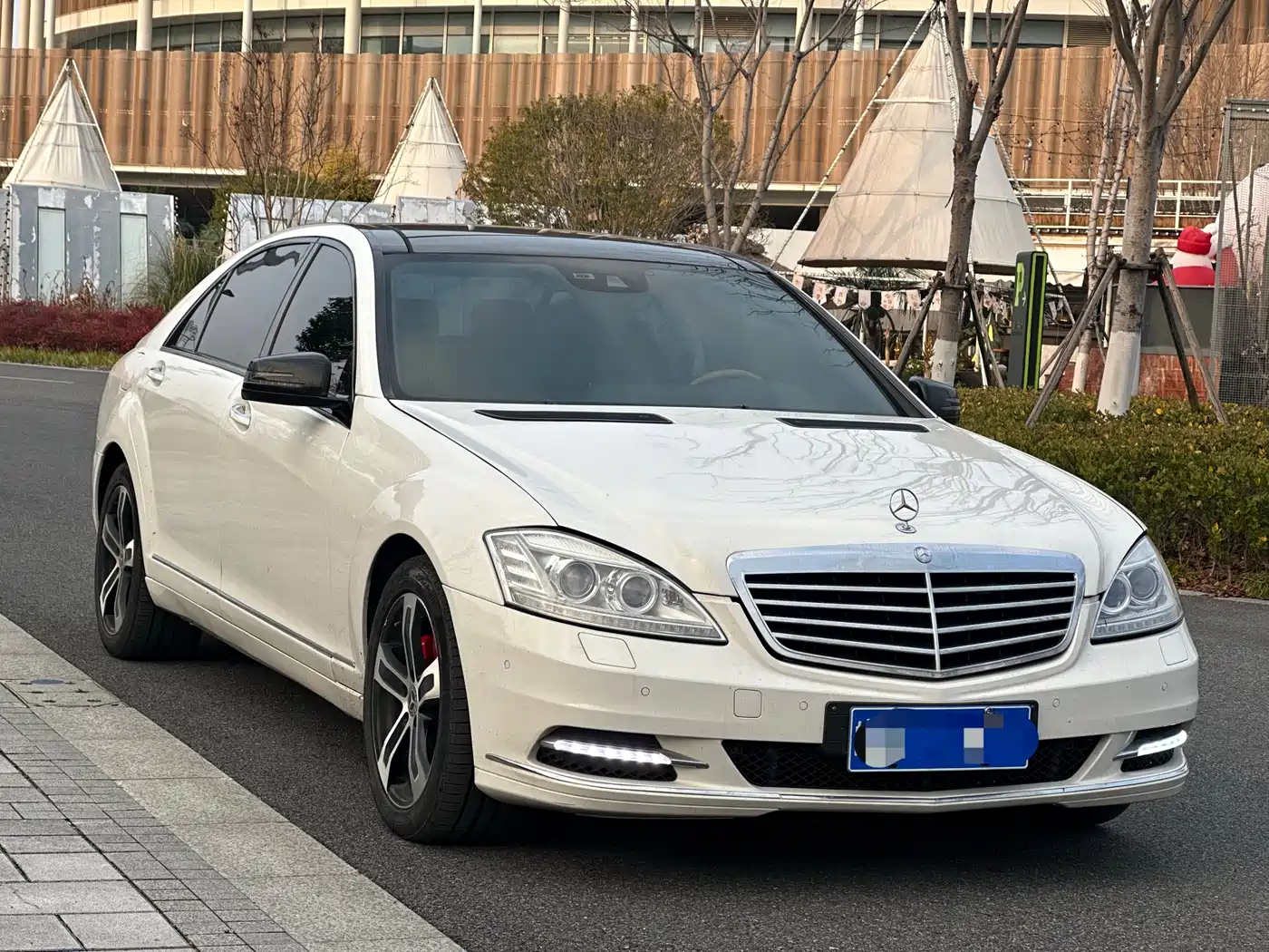 Mercedes-Benz S-Class 2010 S 300 L Luxury фото 3