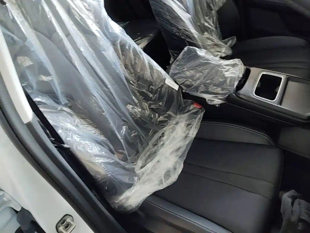 Фото 25 - Dongfeng Aeolus SKY EV01