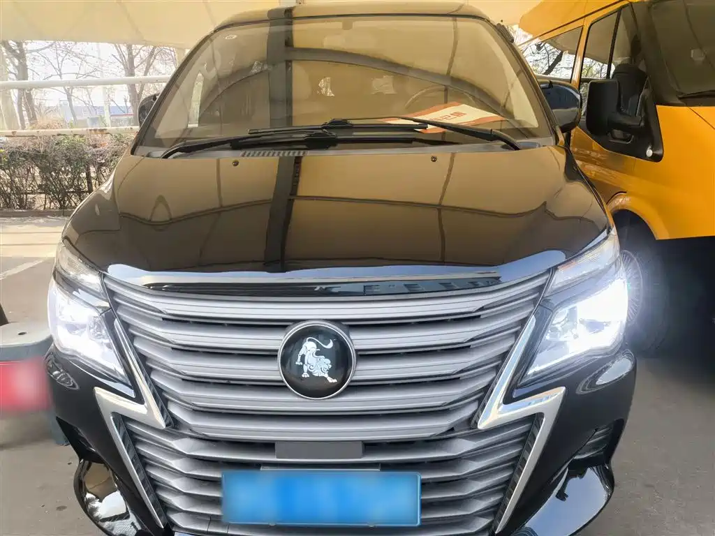 DONGFENG POPULAR LINGZHI