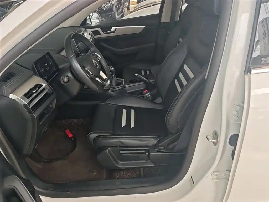 BYD Qin Pro 2020 Surpass Edition 1.5TI Manual Luxury фото 15