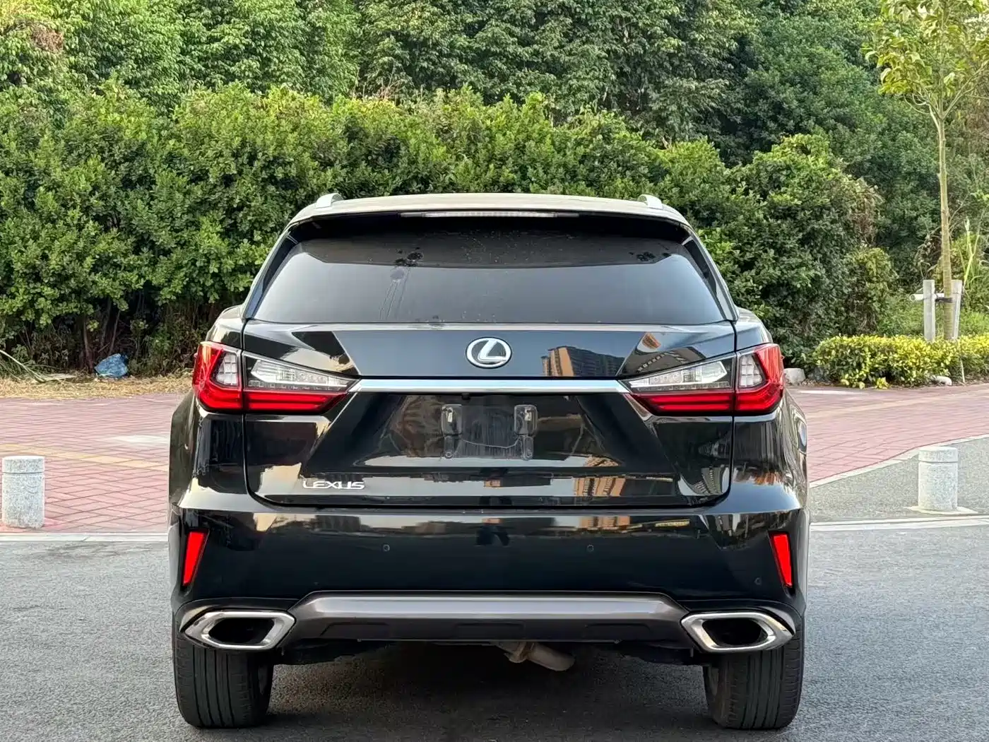 Lexus RX 2016 300 4WD Elegance Edition (China V) фото 8