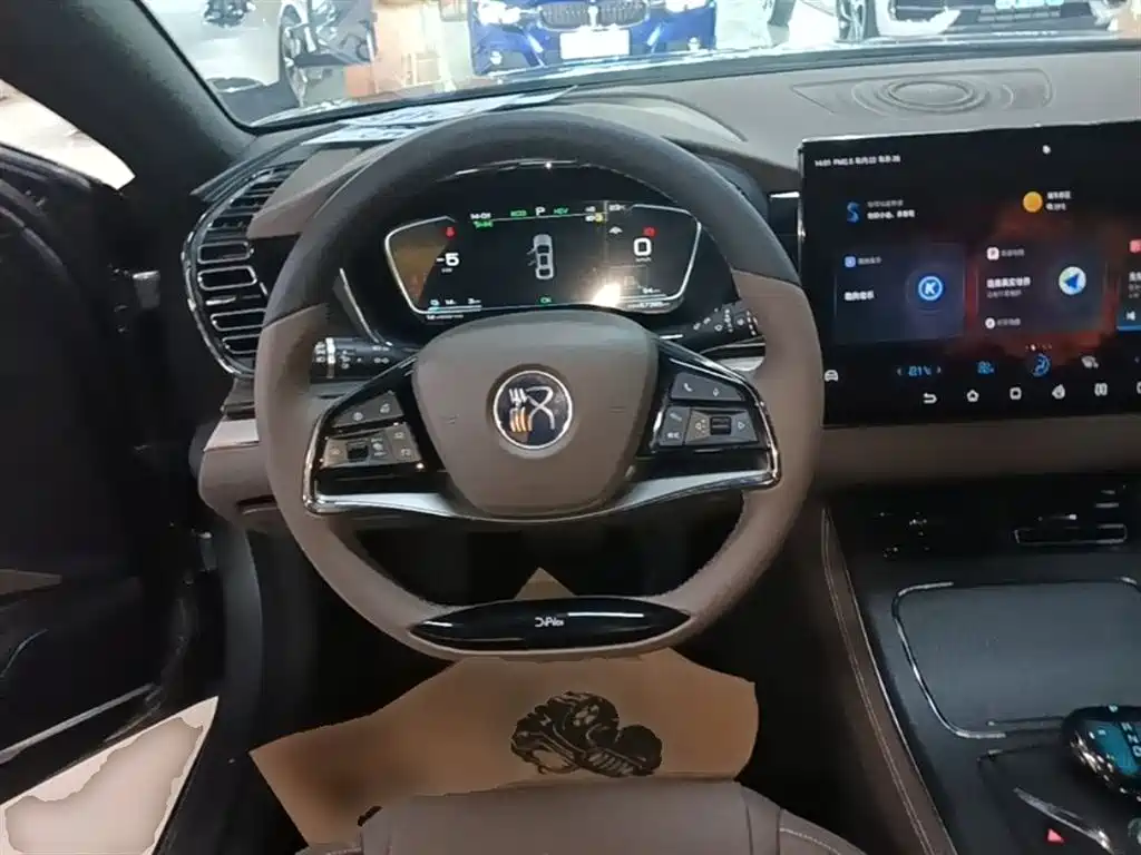 BYD Han 2020 DM AWD Performance Luxury Edition фото 11
