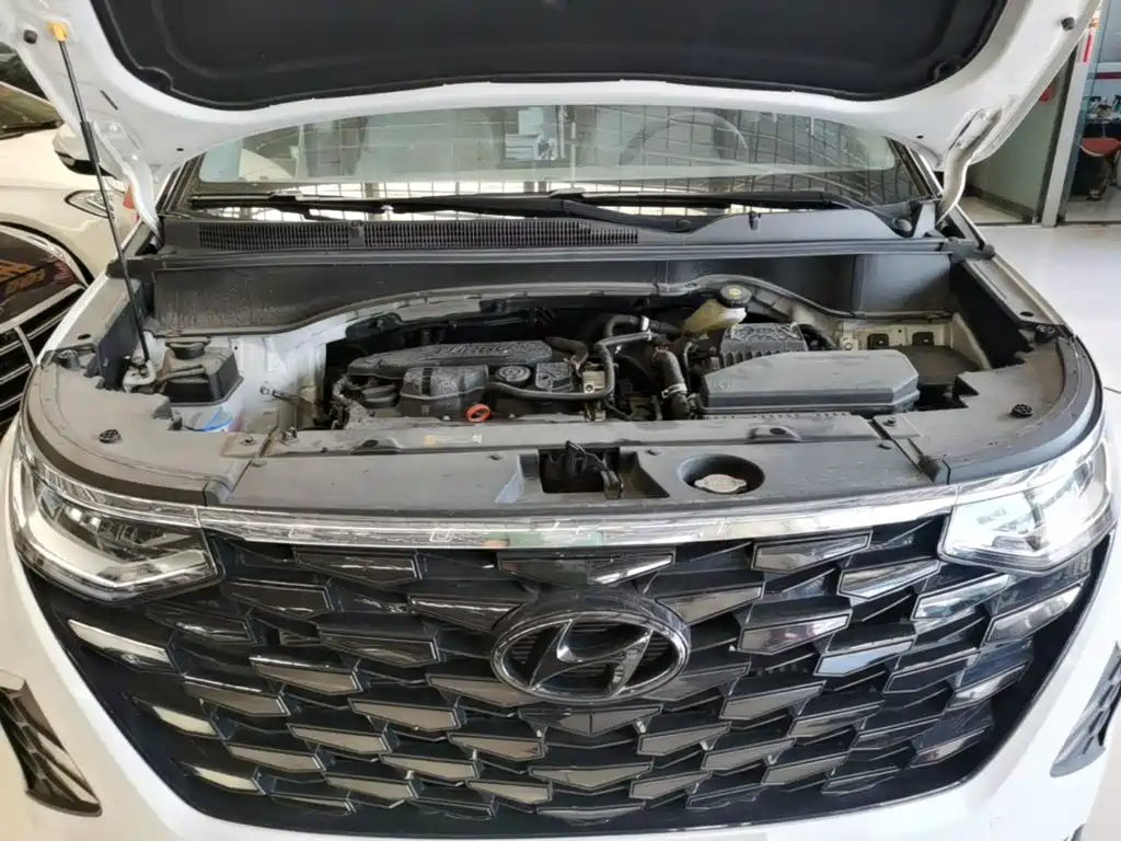 Photo 20 - Hyundai Custo