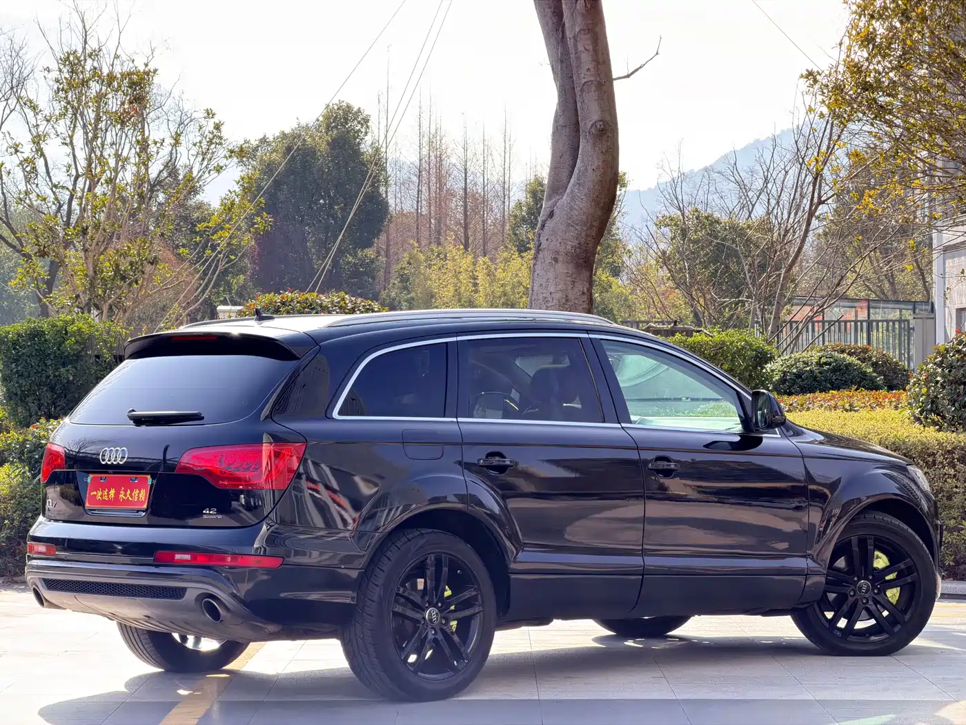 Audi Q7 2007 4.2 FSI quattro Luxury фото 17