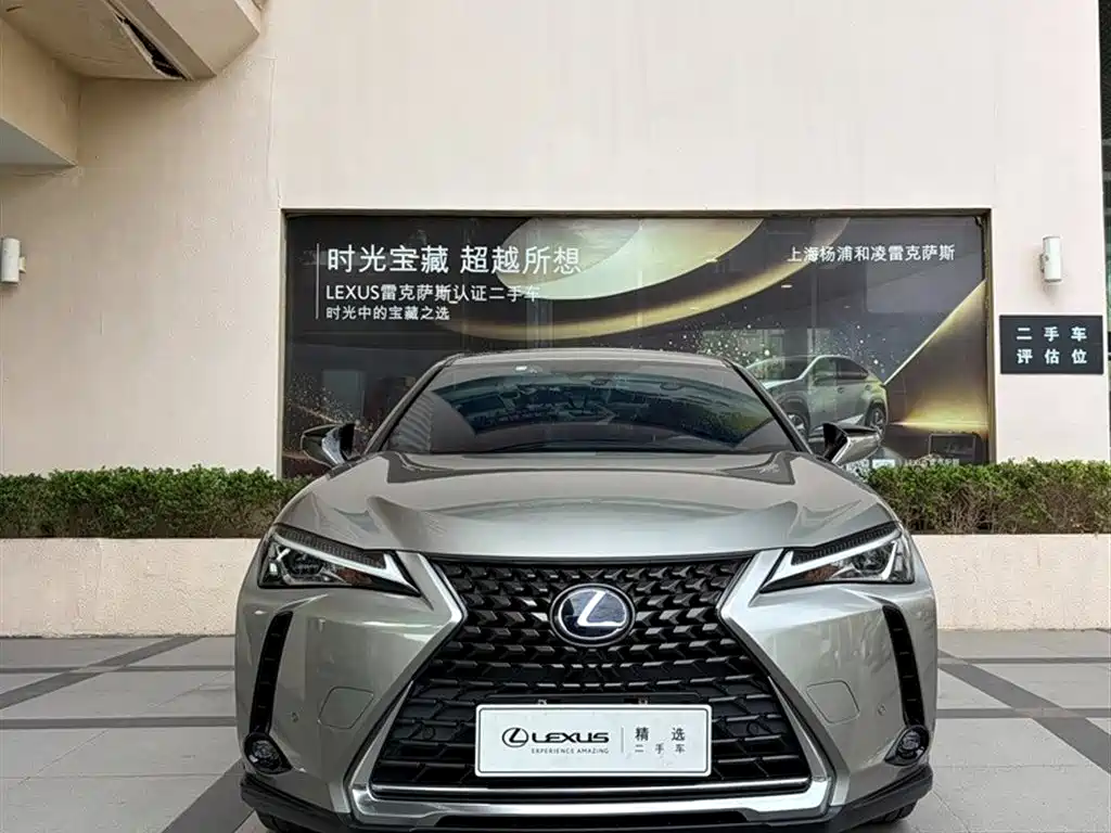 Lexus UX 2021 2020 260h Explore Fun Edition