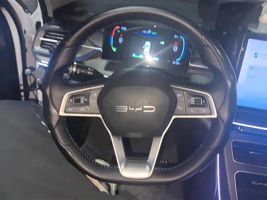 BYD Destroyer 05 2024 Glory Edition DM-i 55KM Luxury фото 15