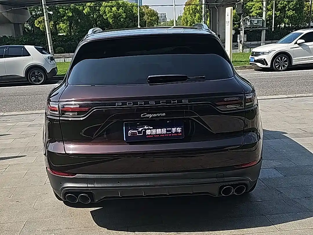 Porsche Cayenne 2022 Cayenne 3.0T Platinum Edition фото 4
