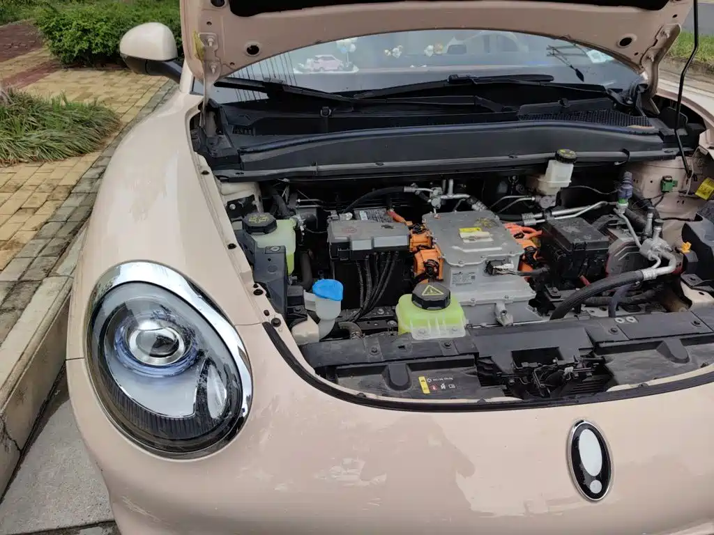 Ora Good Cat 2024 2024 401km Honor 135kW