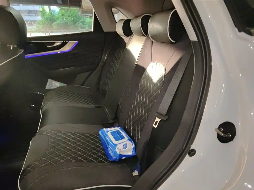 Hongqi HS5 2019 2.0T Smart Connect Enjoy Edition фото 15